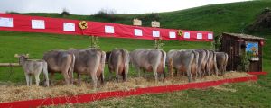 3Jasmin und Berlinda Durrer Arnold